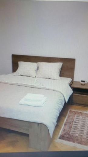 Apartament Lavinia